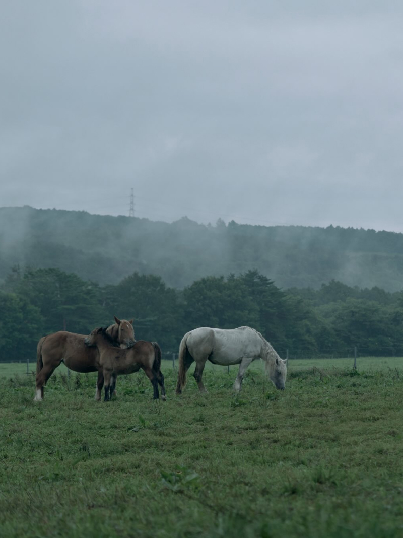 The Society Magazine