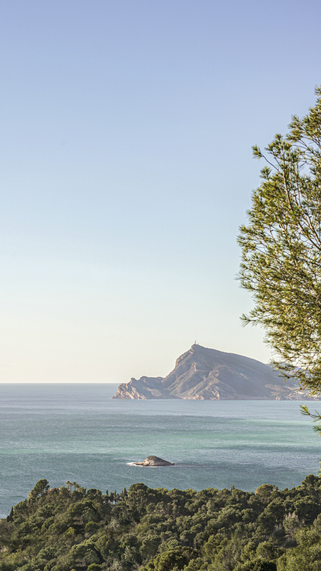 The Society Magazine