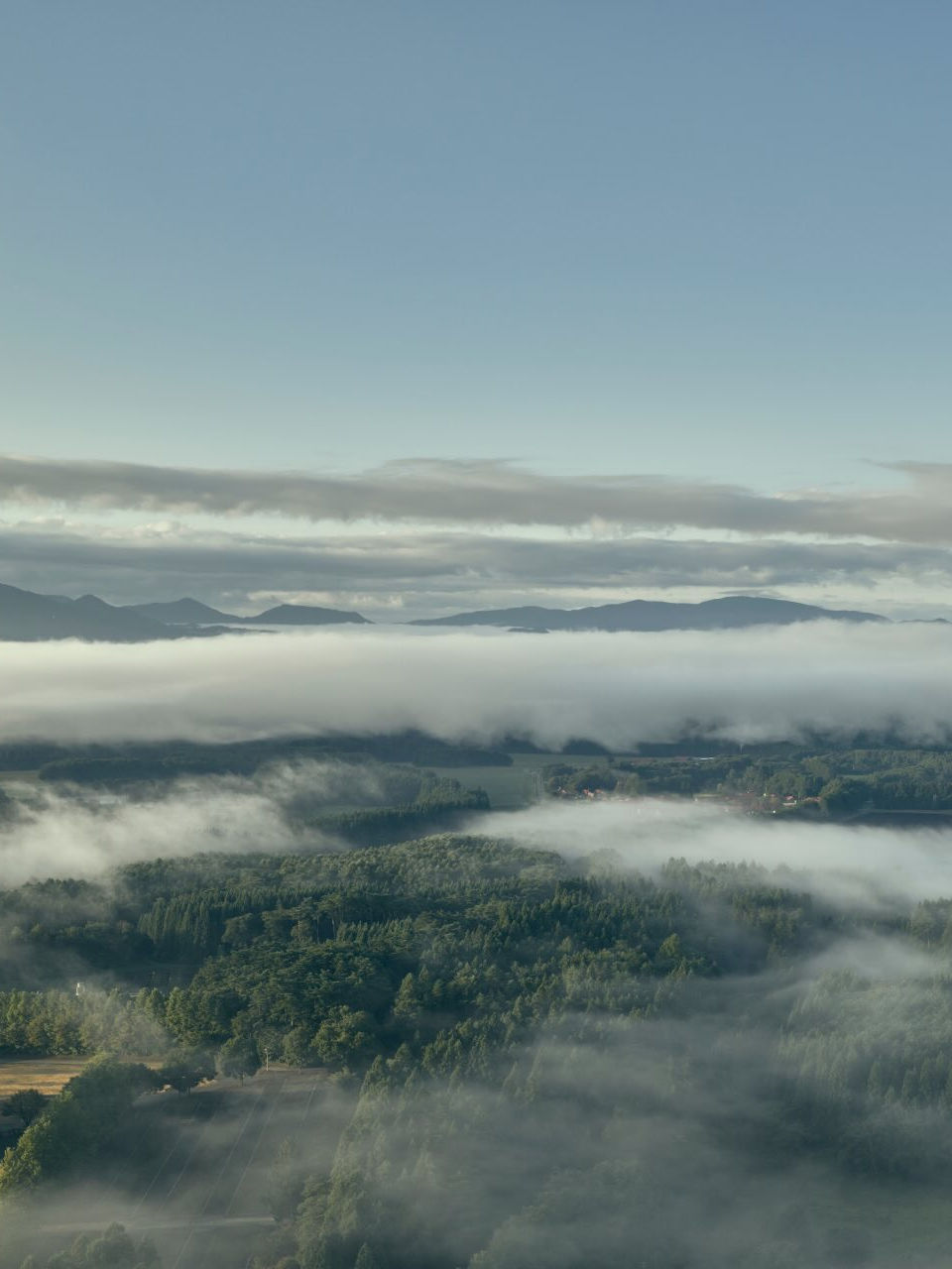 The Society Magazine