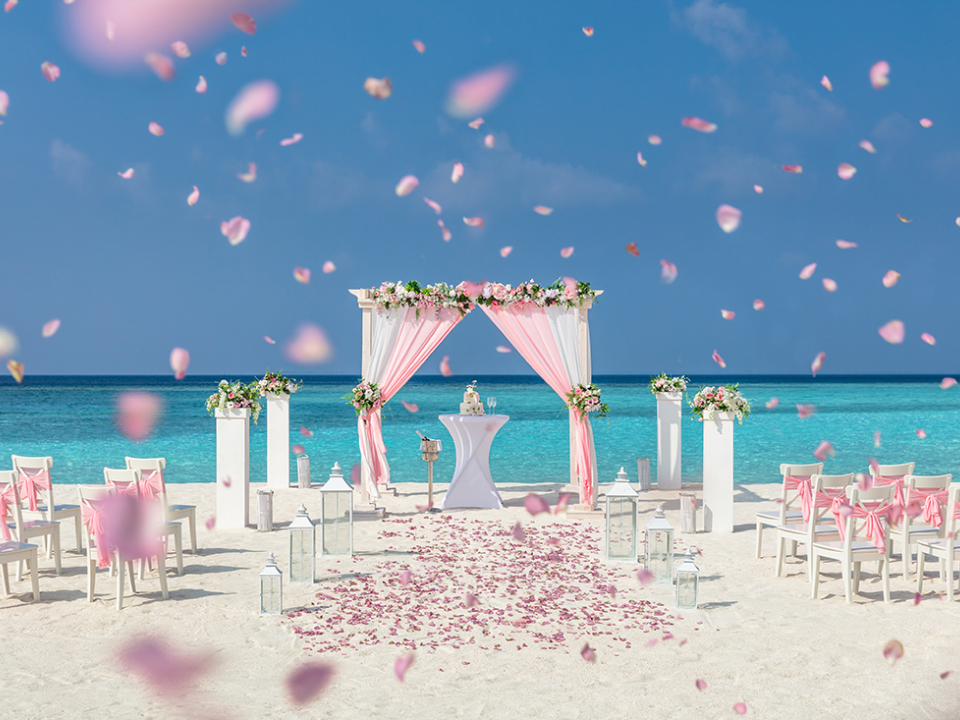 The Society Magazine