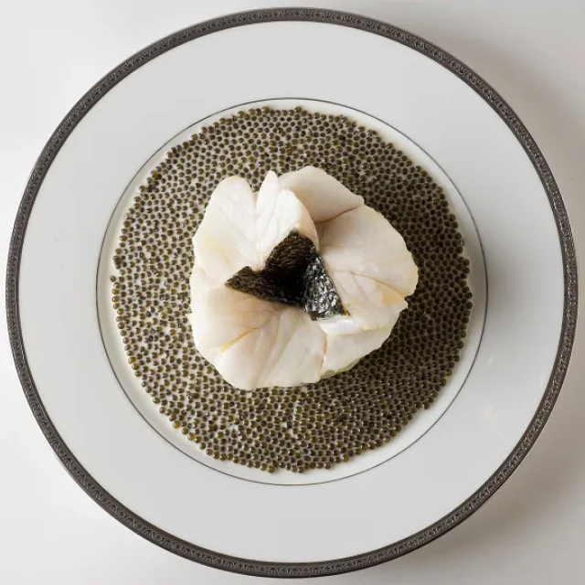 The Society Magazine