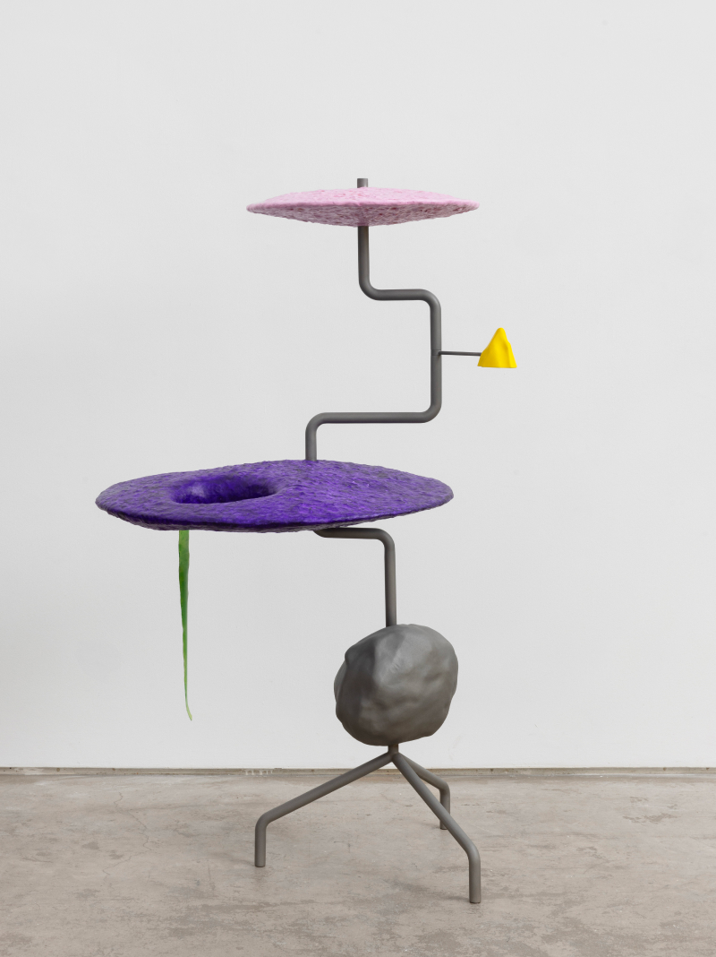 The Society Magazine