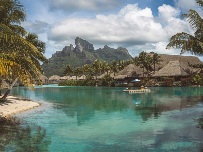 The Society Magazine