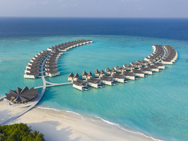 The Society Magazine