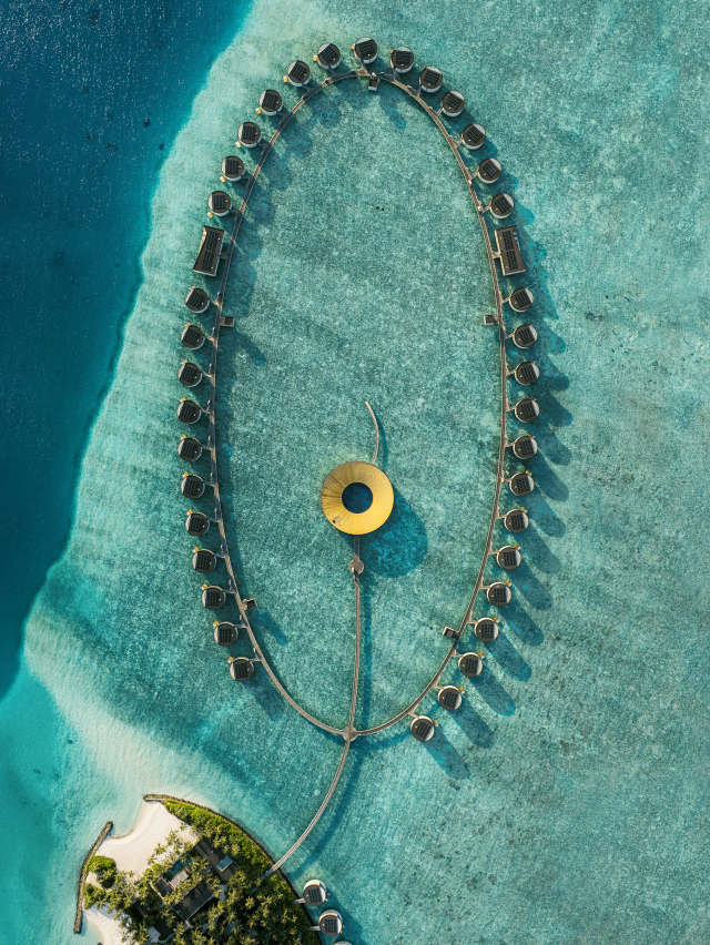 The Society Magazine