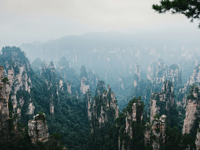 The Society Magazine