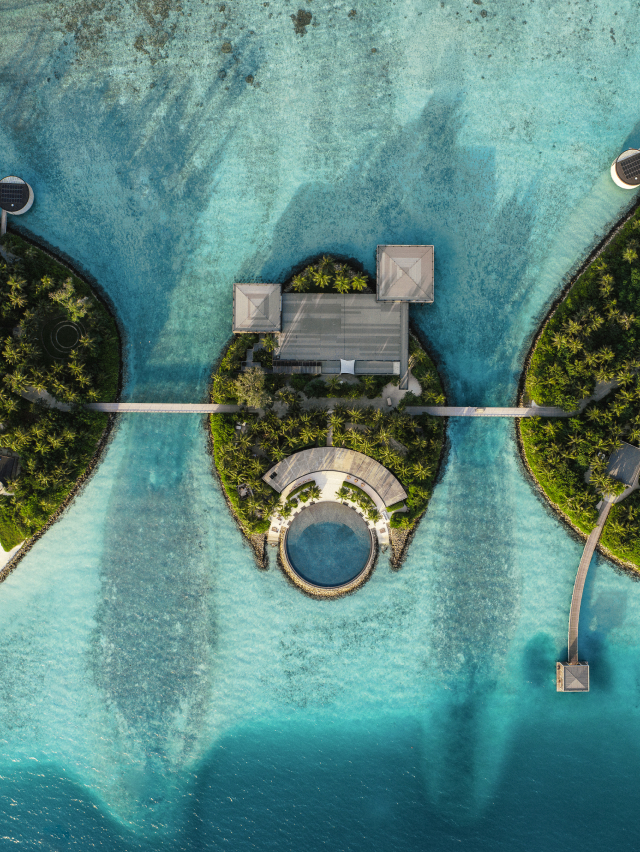 The Society Magazine