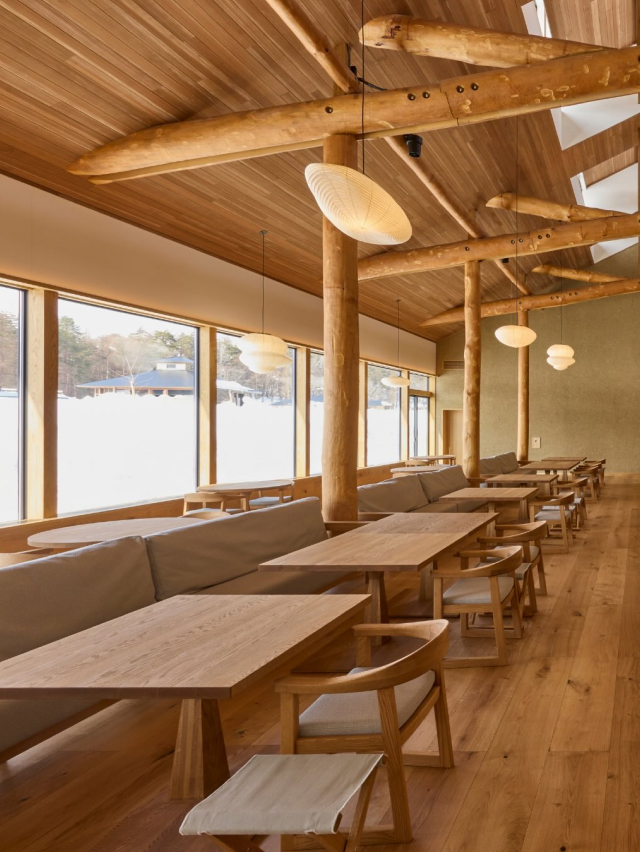 The Society Magazine