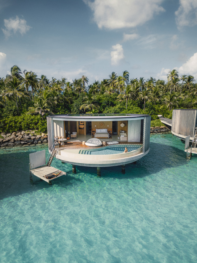 The Society Magazine