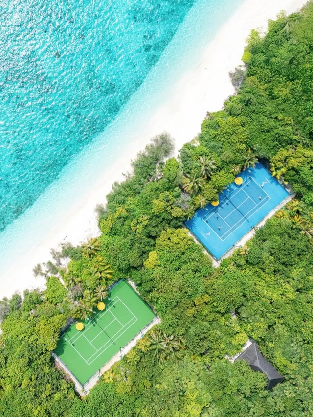 The Society Magazine