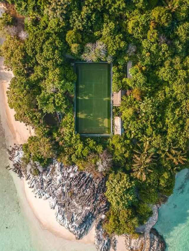 The Society Magazine