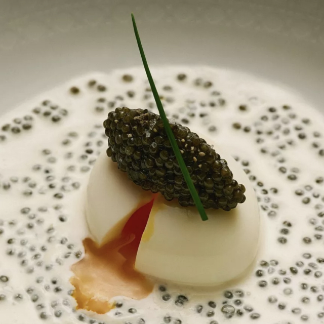 The Society Magazine