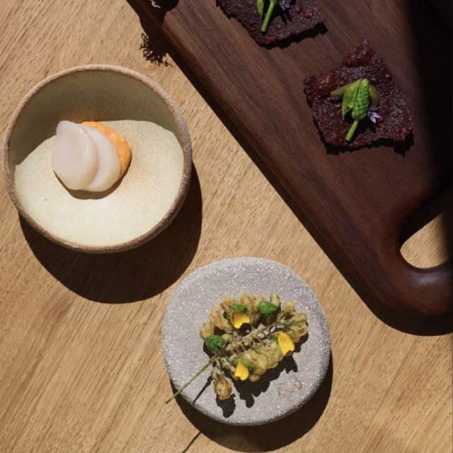 The Society Magazine