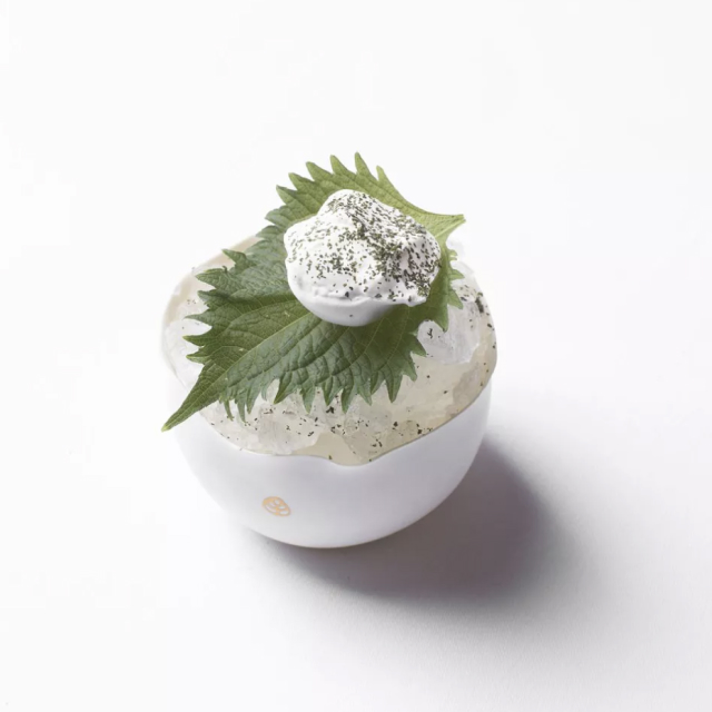 The Society Magazine