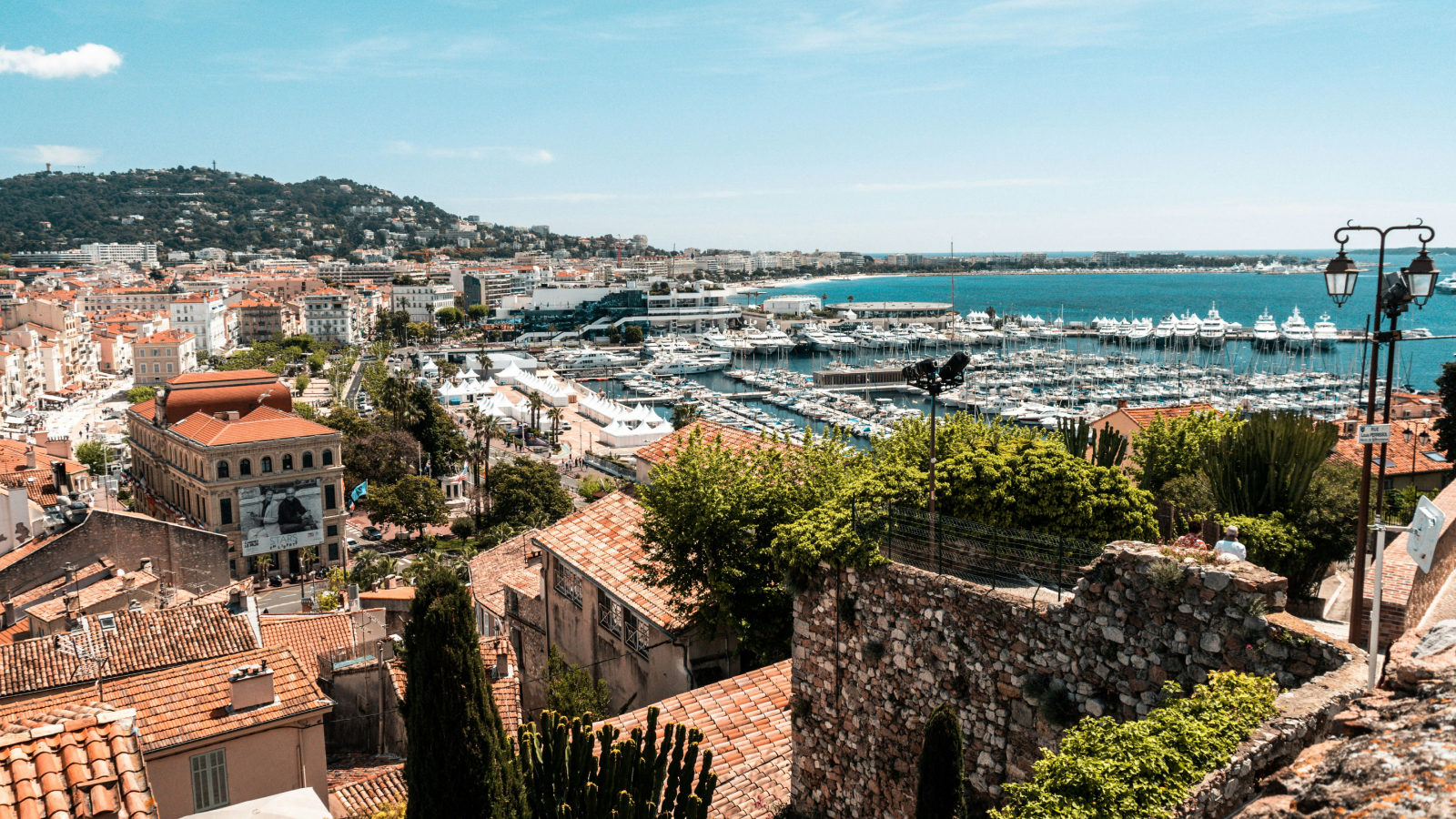 The Society Magazine